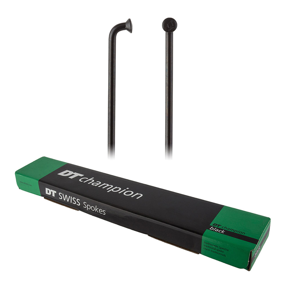 Spokes para bicicleta DT Swiss